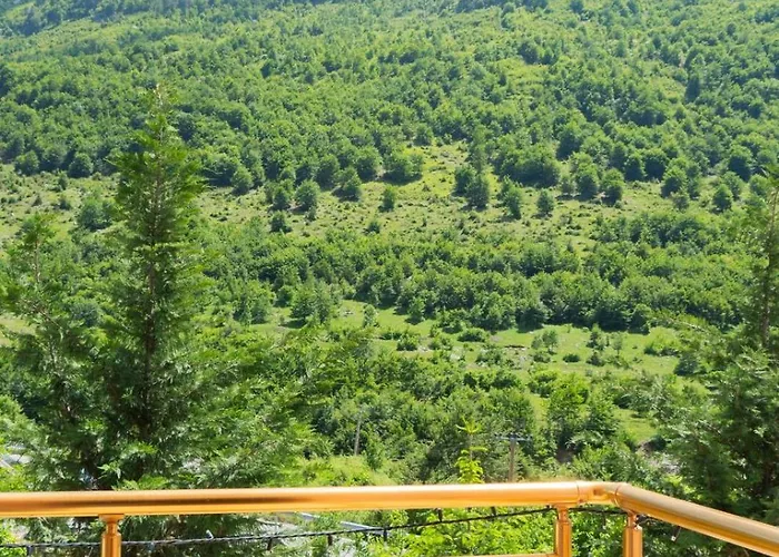 Arditi's Konukevi